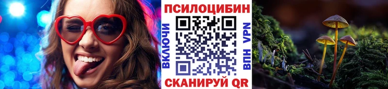 Псилоцибиновые грибы прущие грибы Губаха