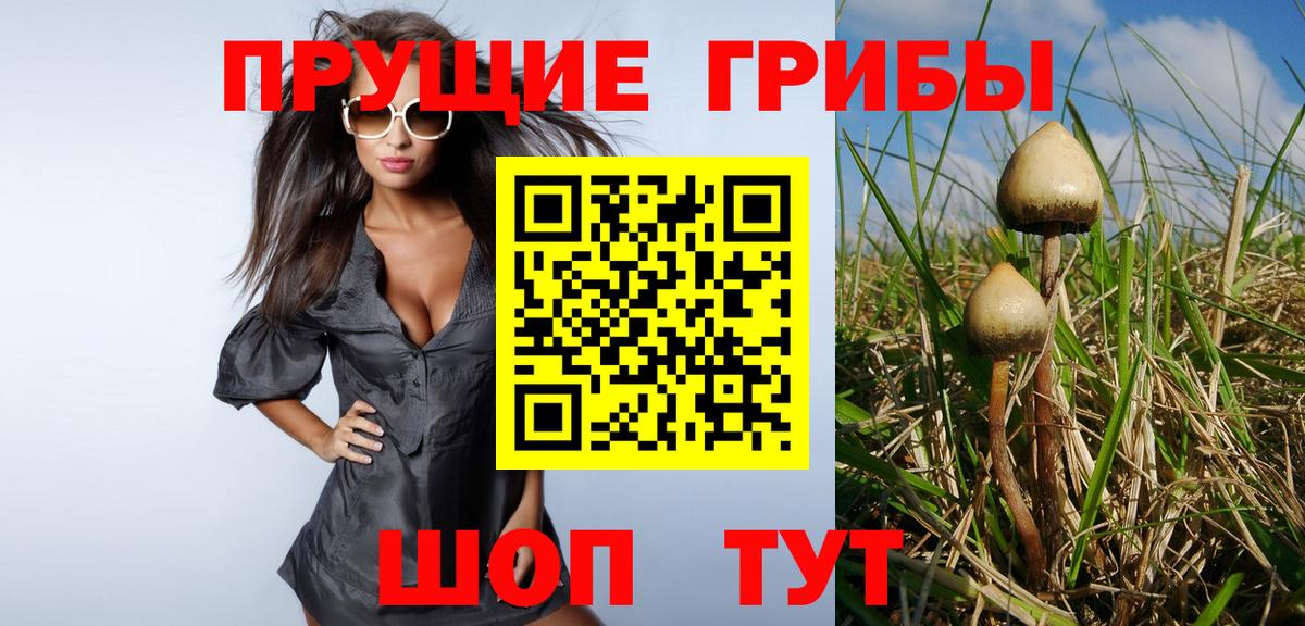 A PVP Губаха