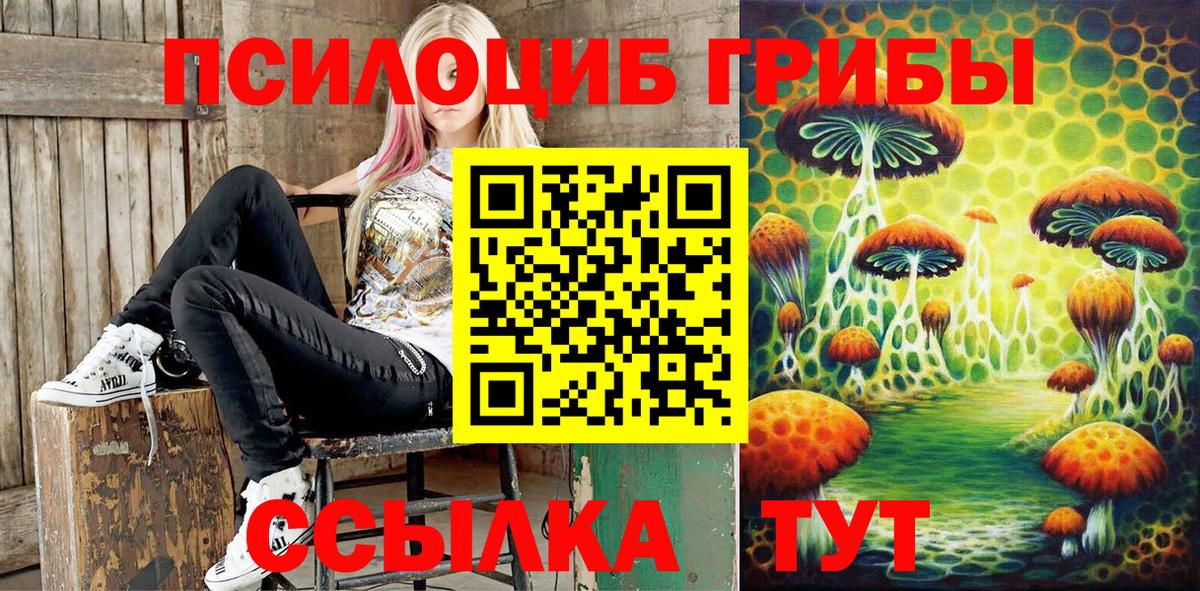 купить  сайты  Галлюциногенные грибы мицелий  Галлюциногенные грибы GOLDEN TEACHER  Вход с VPN  Губаха 